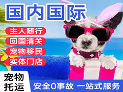 长乐机场快运国际宠物托运 【国